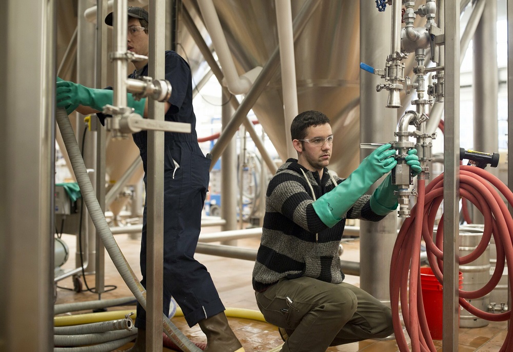 Facteurs de contrôle d'hygiène dans le processus de brassage de la bière artisanale